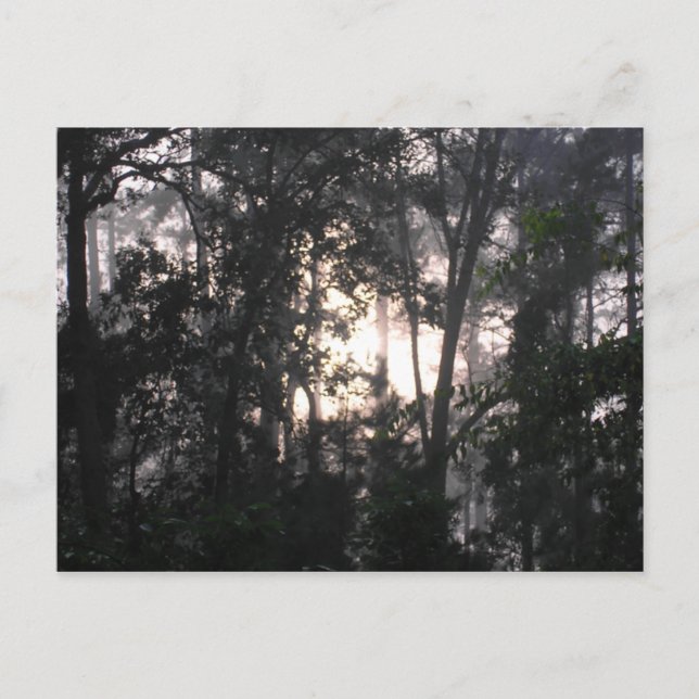 Postal Después de la tormenta - Postcard #2 (Anverso)