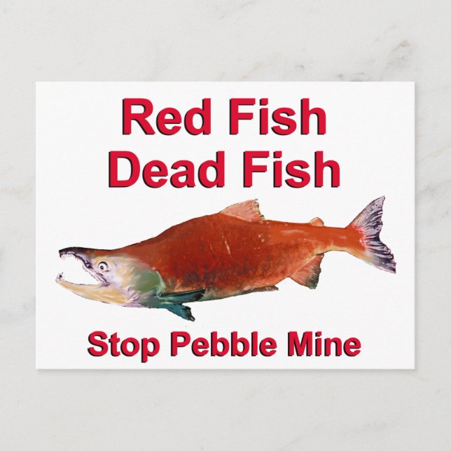 Postal Después de Salmon - Alto a la mina de guijarros (Anverso)