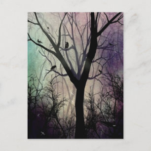 Postal Después del encendido