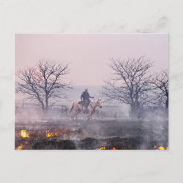 Postal Después del incendio de Prairie, Flint Hills, Kans