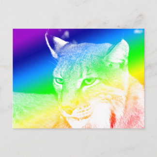 Postal Destacados Arcoíris Lynx