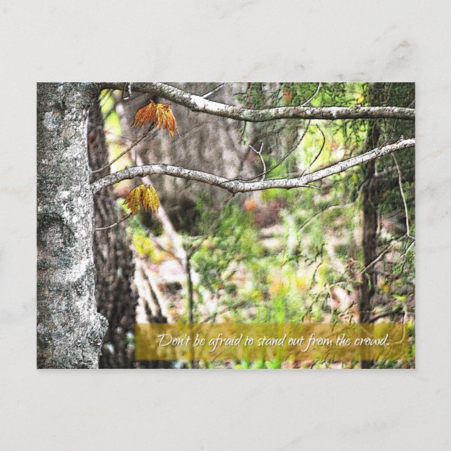 Postal Destacar (Anverso)