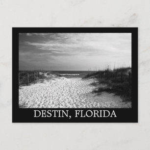 Postal Destén de la vía de la playa blanca negra, florida
