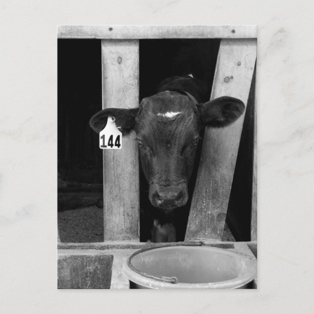 Postal Destetado (Anverso)