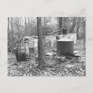 Postal Destilería clandestina en el bosque, 1931