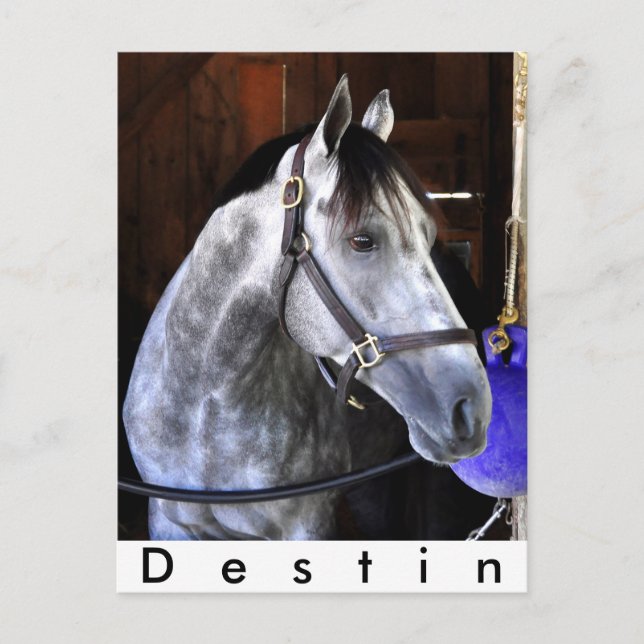 Postal Destin (Anverso)
