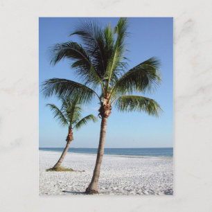 Postal Destin Florida