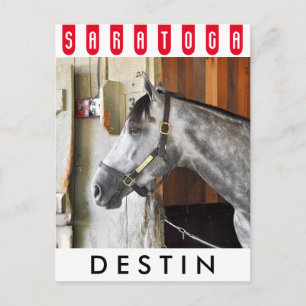 Postal Destin - Horse Haven