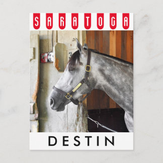 Postal Destin - Horse Haven