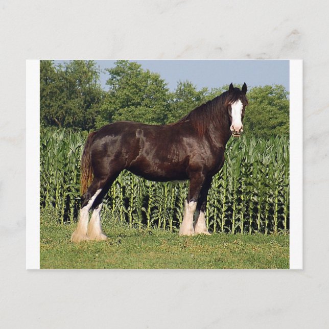 Postal destino (Anverso)