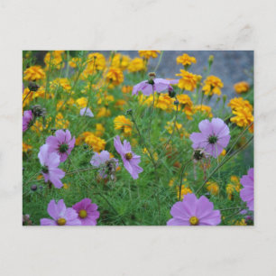 Postal Destino elegante del amor de la paz de la ducha de