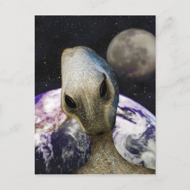 Postal Destino: Tierra (Anverso)