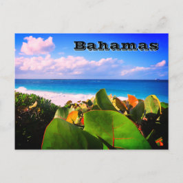 Postal Destino tropical Personalizado vibrante