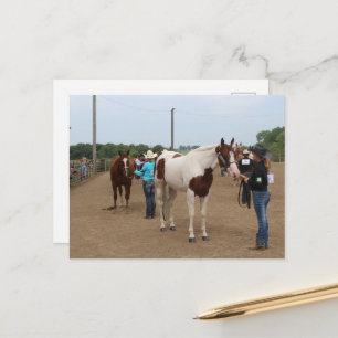 Postal Destreza en Exhibición de Caballos Paint y Quarter