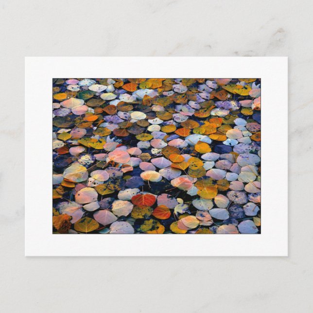 Postal "Desviación silenciosa" (Anverso)