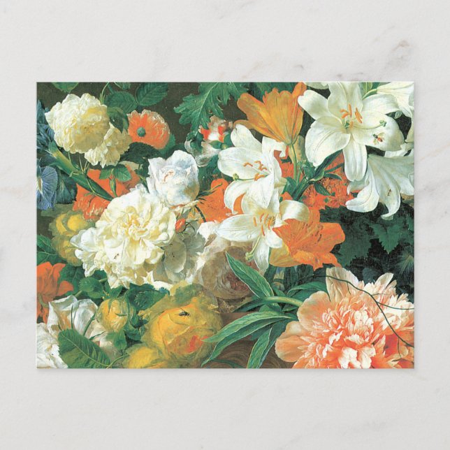 Postal Detalle de flores en una parcela de algodón de Tie (Anverso)
