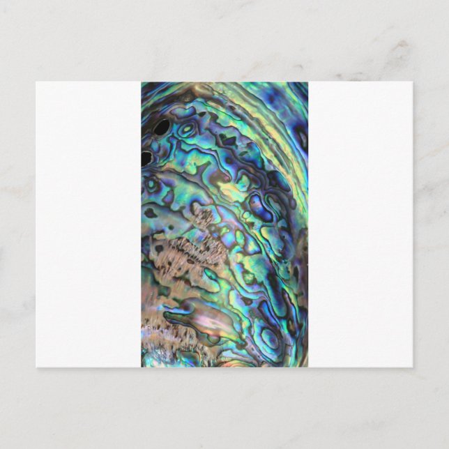 Postal Detalle de la cáscara de abulón verde azul (Anverso)