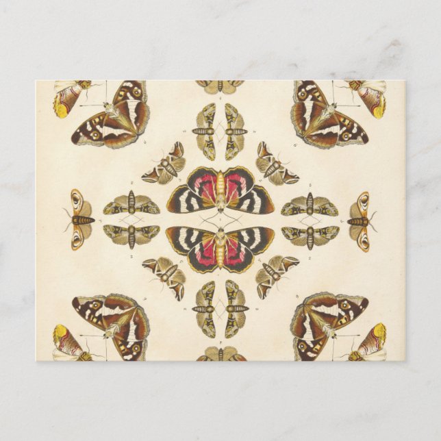 Postal Detalle de la placa VI (Anverso)