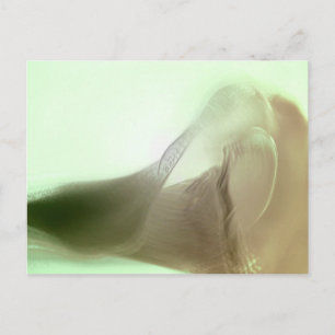 Postal Detalle romántico de las flores