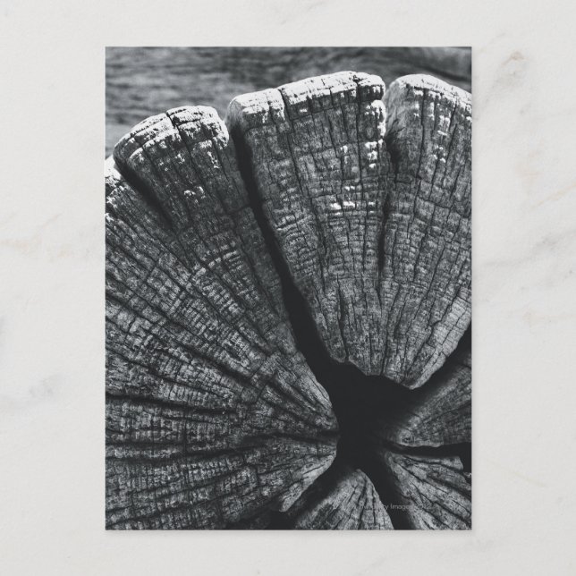 Postal Detalles de madera (Anverso)