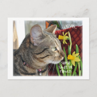 Postal Detener y oler las flores