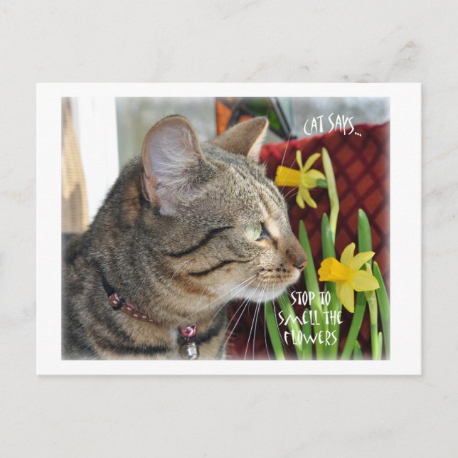 Postal Detener y oler las flores (Anverso)