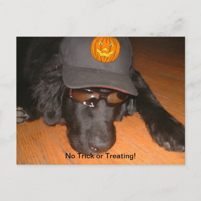 Postal Detrás De Esta Halloween (Anverso)