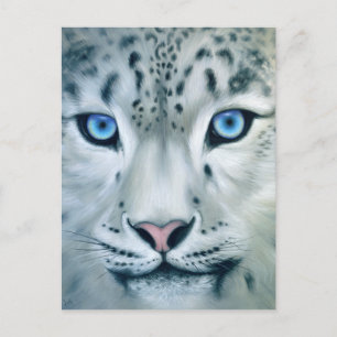 Postal Detrás de los ojos azules - Leopardo de la nieve
