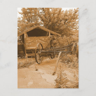 Postal Detrás del granero