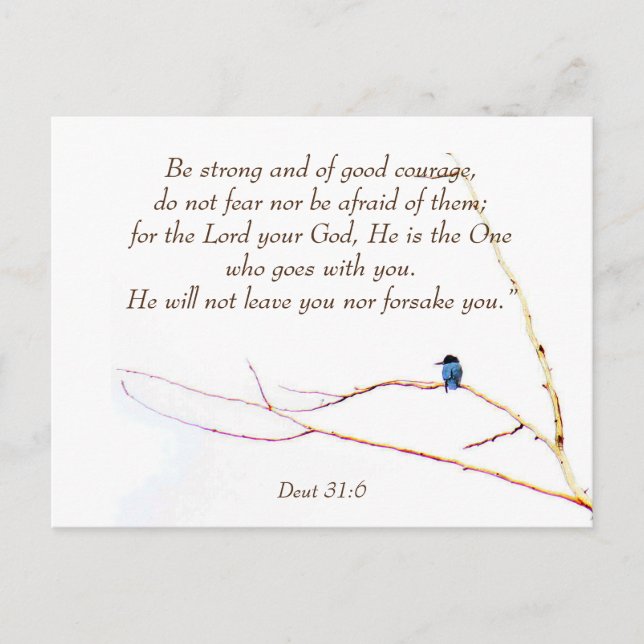 Postal Deut 31:6 No estás sola Biblia Kingfisher Bird (Anverso)