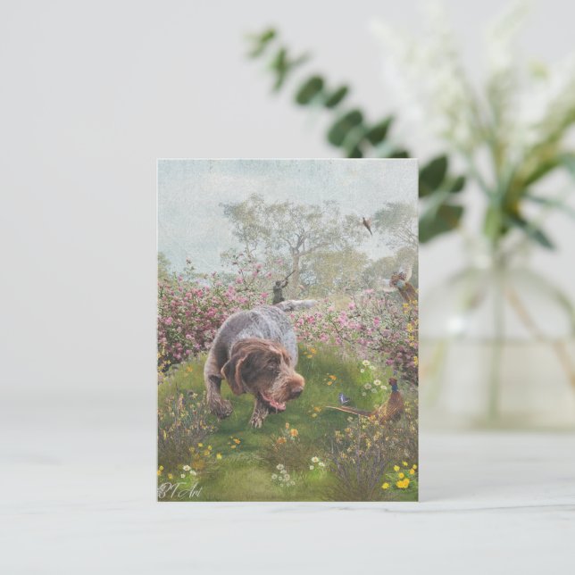 Postal Deutsch Drahthaar (Anverso de pie)