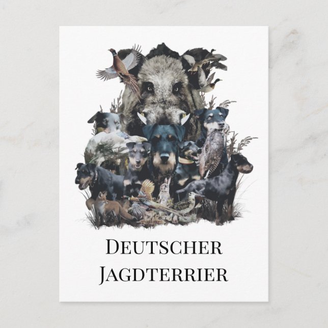 Postal Deutscher Jagdterrier (Anverso)