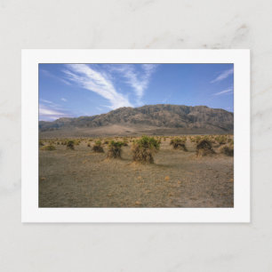 Postal "Devils Cornfield"