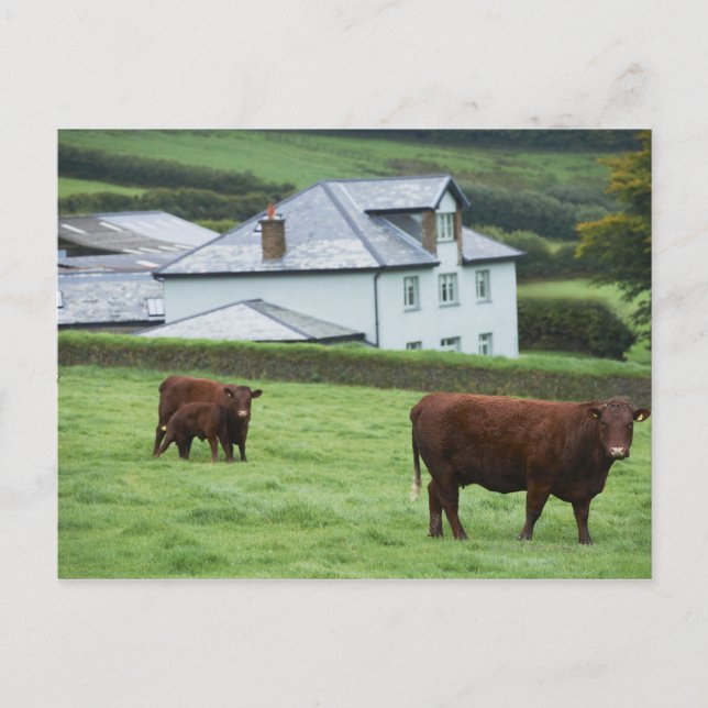 Postal Devon, Inglaterra (Anverso)