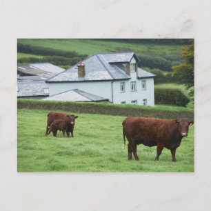 Postal Devon, Inglaterra