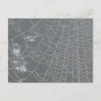 Dew Drogas Spider Web DIY Postcard