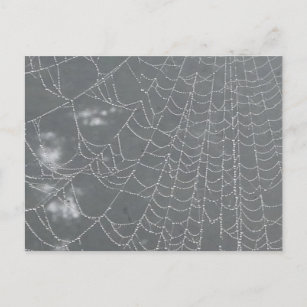 Postal Dew Drogas Spider Web DIY Postcard