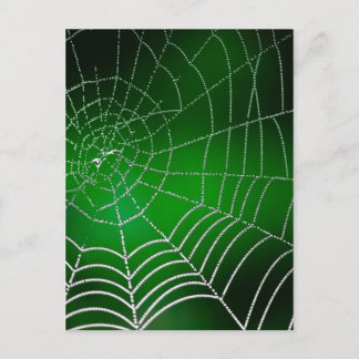 Postal Dew en la telaraña