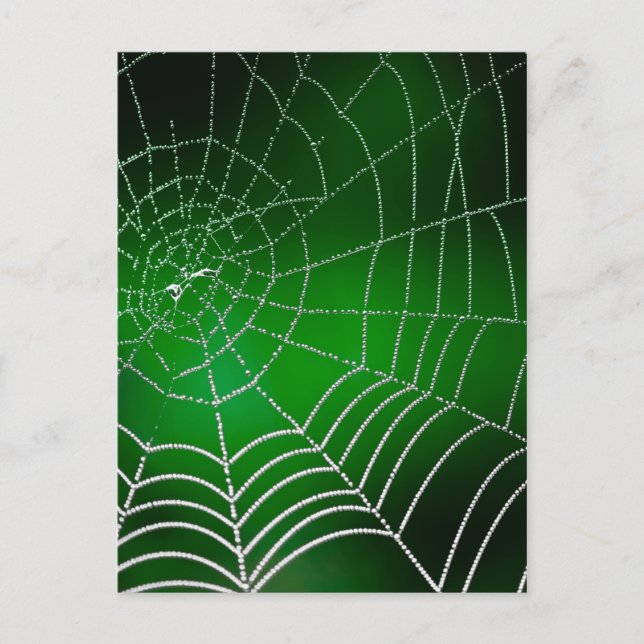 Postal Dew en la telaraña (Anverso)