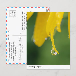 Postal Dewdrop Elegance: Yellow Flower Petal Close-Up