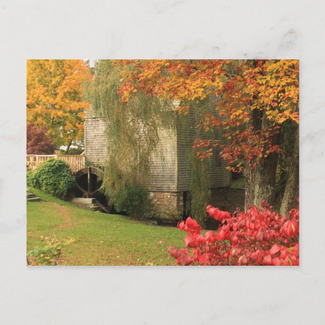 Postal Dexter Grist Mill Sandwich Cape Cod (Anverso)