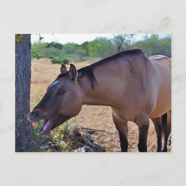 Postal Di aaaah (Anverso)