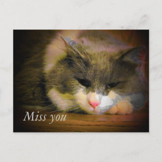 Postal Di Que Te Extraño Con Este Gato Triste