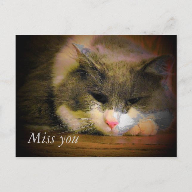 Postal Di Que Te Extraño Con Este Gato Triste (Anverso)