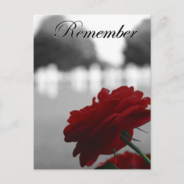 Postal Día conmemorativo de la Rosa Roja (Anverso)