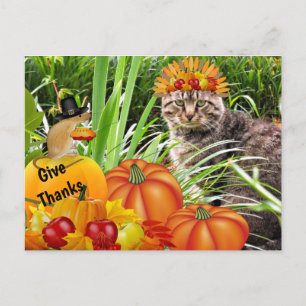 Postal Día de Acción de Gracias de gato y ratón / Collage