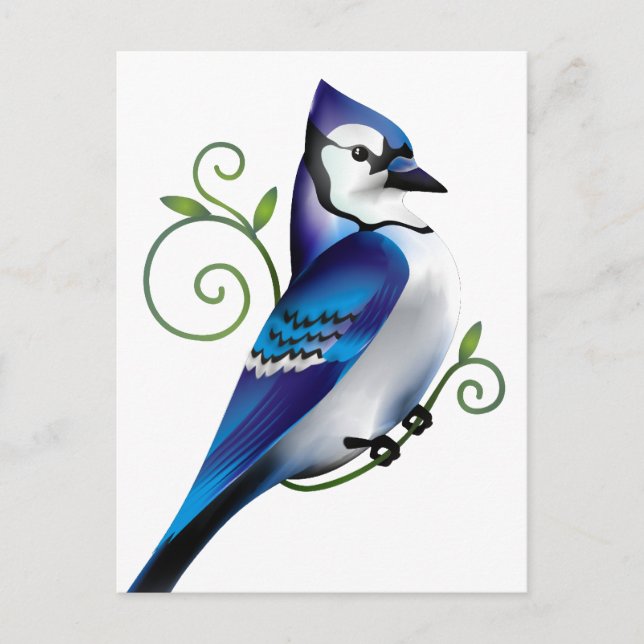 Postal Día de Bluejay (Anverso)
