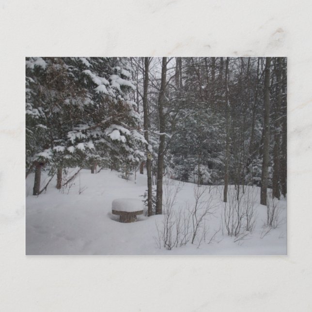 Postal Día de invierno Nevado (Anverso)