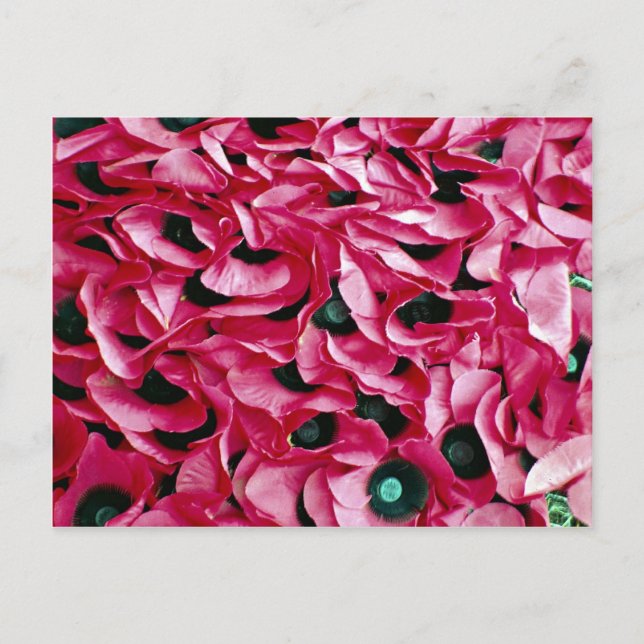 Postal Día de la amapola (Anverso)