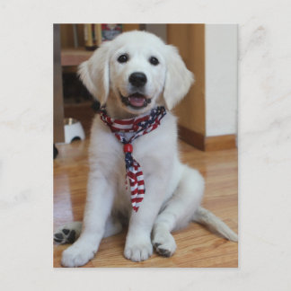 Postal Día de la Independencia, 4 de julio